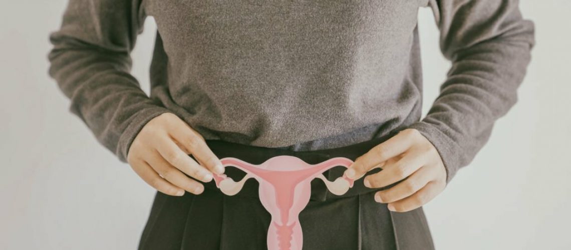 Hands holding uterus, female reproductive system , woman health, PCOS, gynecologic and cervix cancer concept